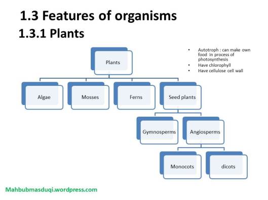 Chapter 1. Characteristics and classification of living things 1.3.1 (plants)